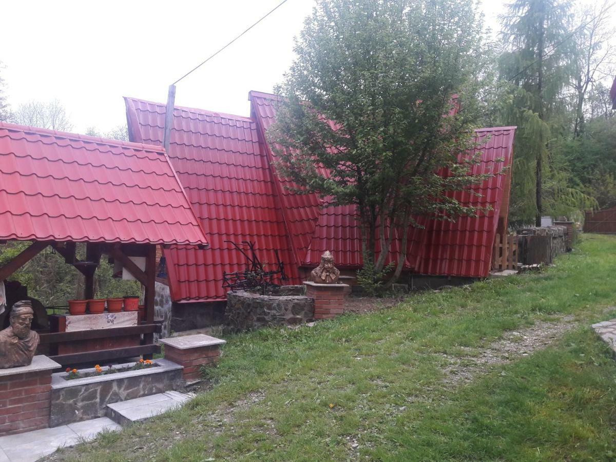 Casa Daos Otel Nucşoara Dış mekan fotoğraf
